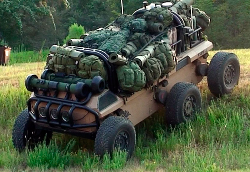 mule.jpg