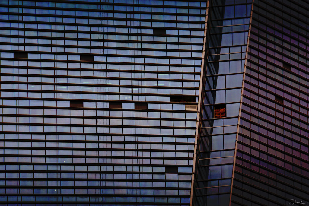 17404724086_b4653ff72f_b.jpg
