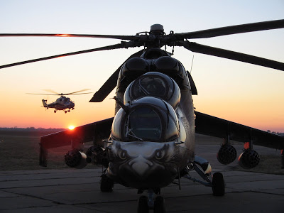 eagle034.jpg
