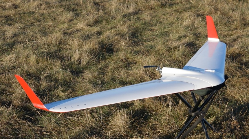 petrel-photo.jpg