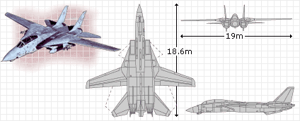 f14_pic.gif