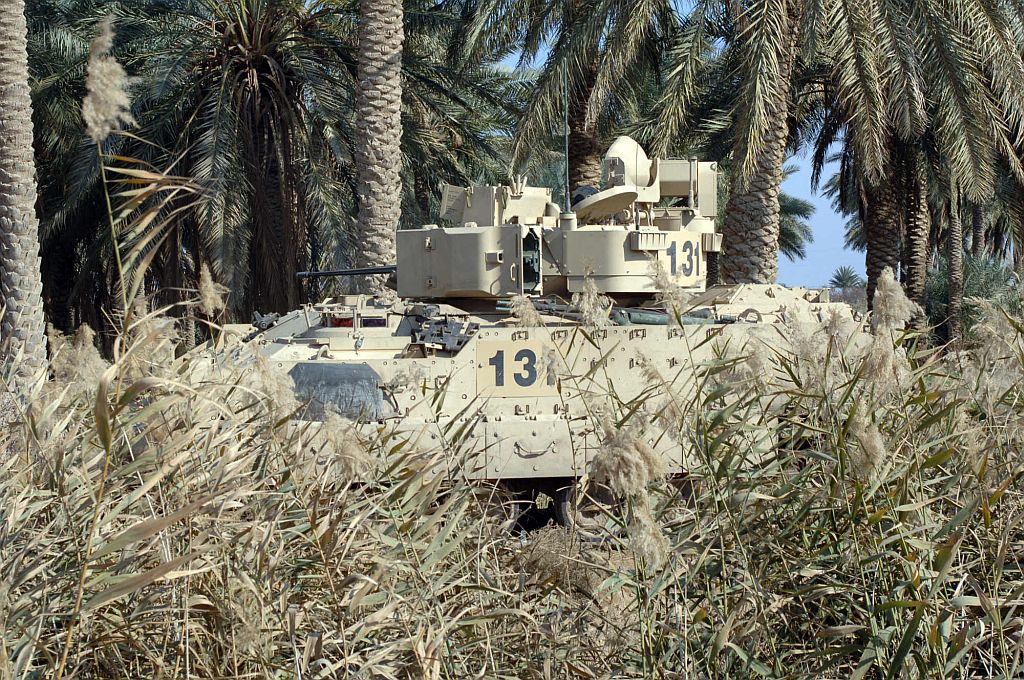 bradley_02.jpg