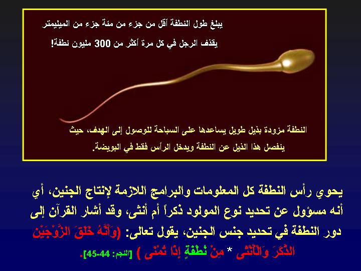 slide119.jpg