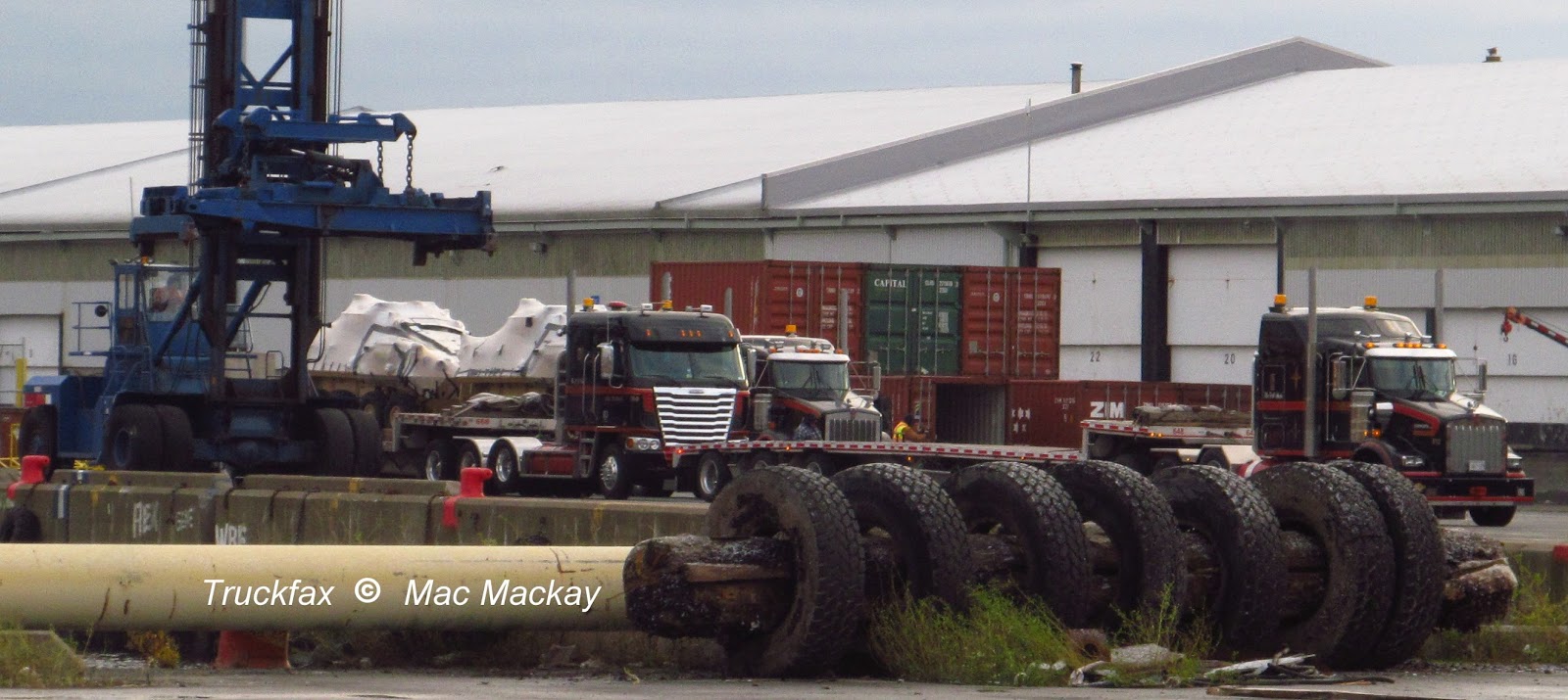 IMG_0599%2BPaddocks.jpg