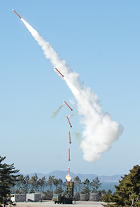 South%2BKorean%2Bindigenous%2Bsurface-to-air%2Bguided%2Bmissiles%2Bto%2Bbe%2Bdeployed%2Bthis%2Byear.jpg