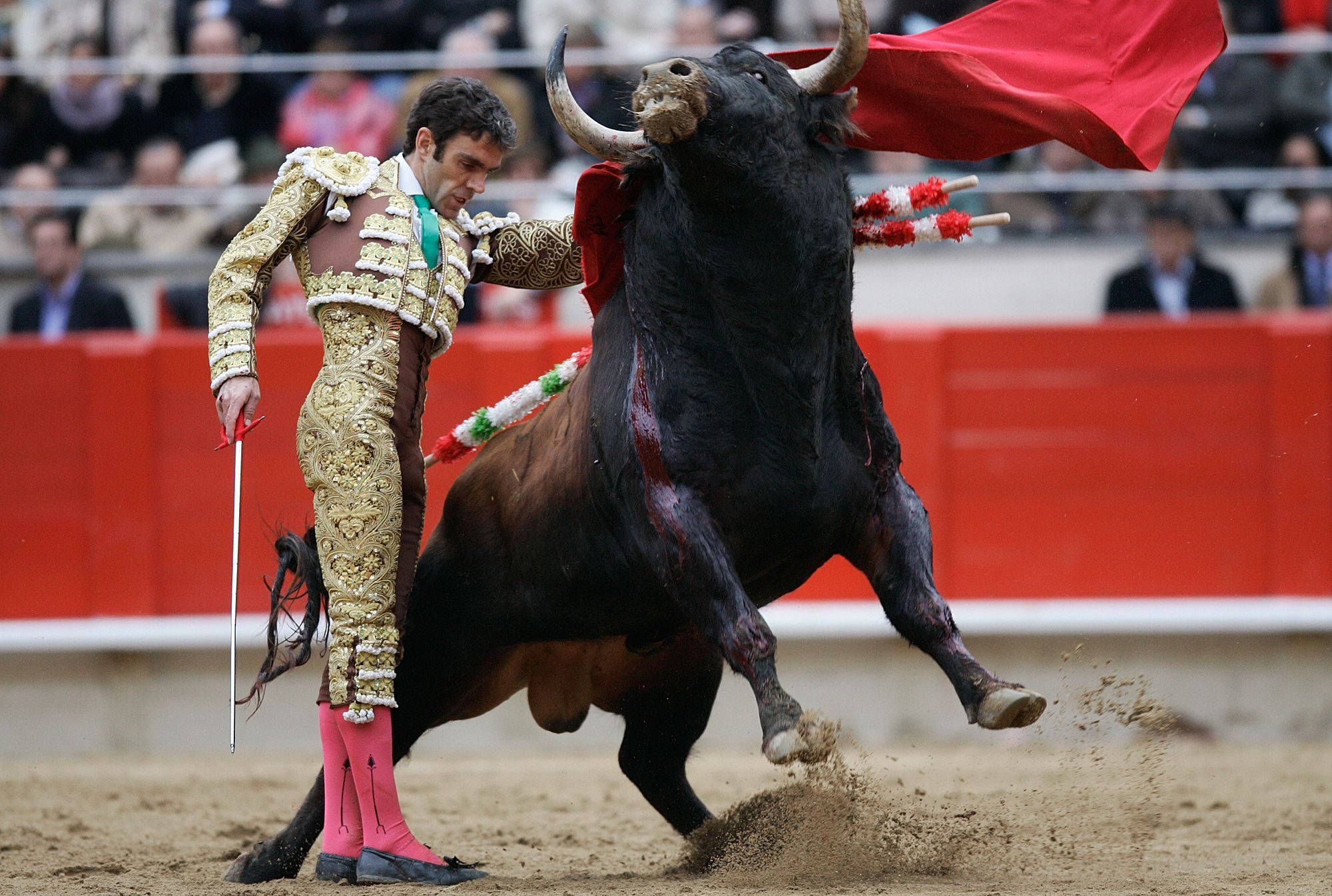 Spain%20Matador%20Return_Pata.jpg