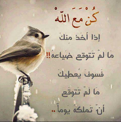 %D8%B5%D9%88%D8%B1__%D8%B5%D9%88%D8%B1_%D8%A7%D9%84%D9%85%D9%84%D9%83_%D8%B9%D8%A8%D8%AF%D8%A7%D9%84%D9%84%D9%87_%D8%A7%D8%AD%D8%AF%D8%AB_g.jpg