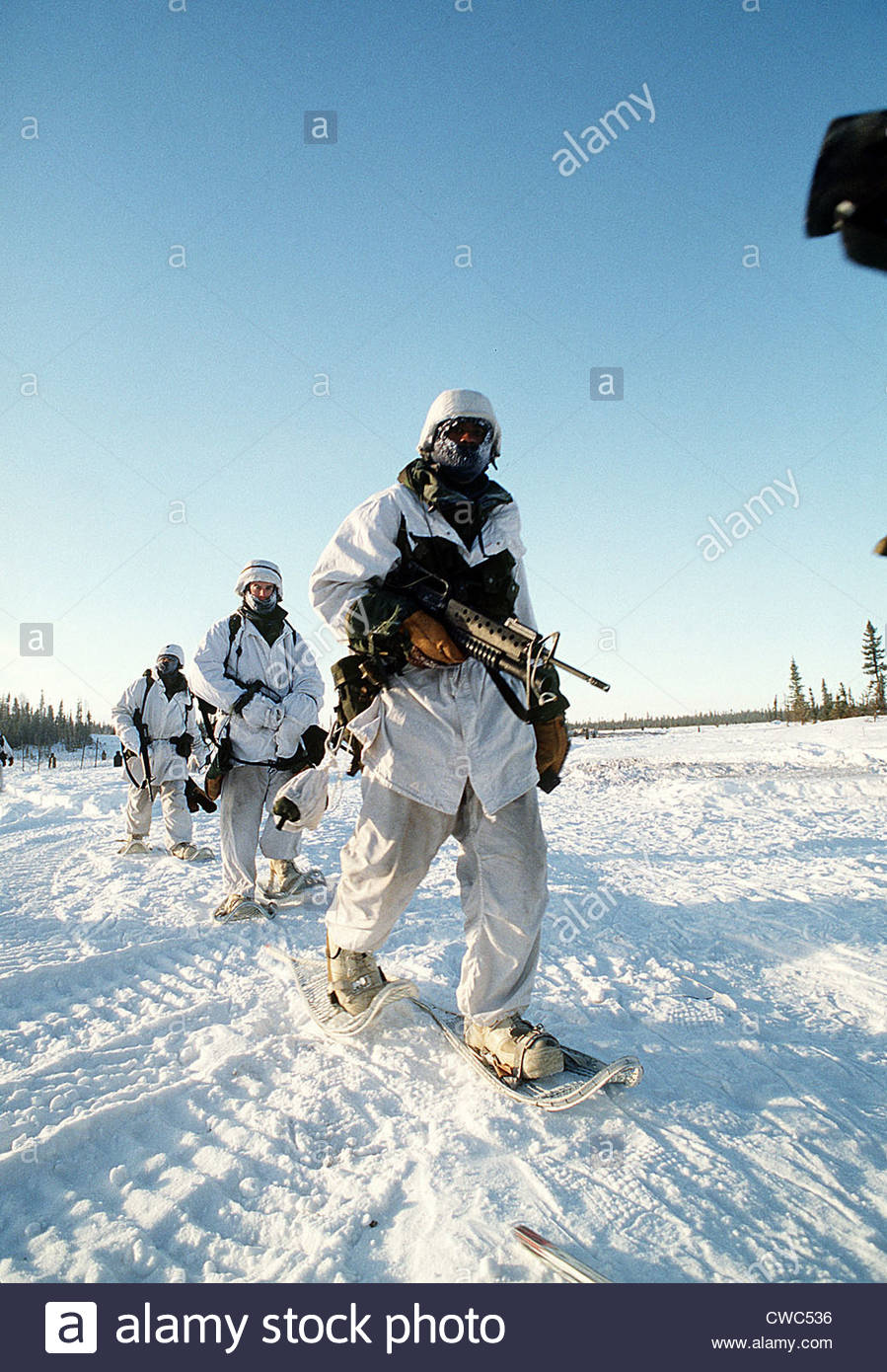 us-soldiers-in-arctic-warfare-training-at-fort-greely-alaska-jan-31-CWC536.jpg