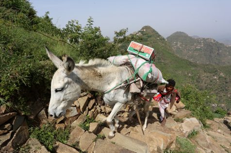 2016-09-12T124230Z_933253813_S1BEUAWKDQAA_RTRMADP_3_YEMEN-SECURITY-VILLAGE-476x315.jpg