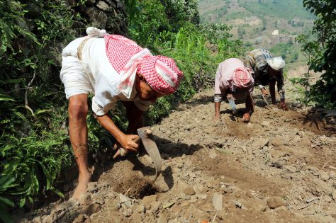 2016-09-12T124309Z_169874834_S1BEUAWKFDAA_RTRMADP_3_YEMEN-SECURITY-VILLAGE-474x315.jpg