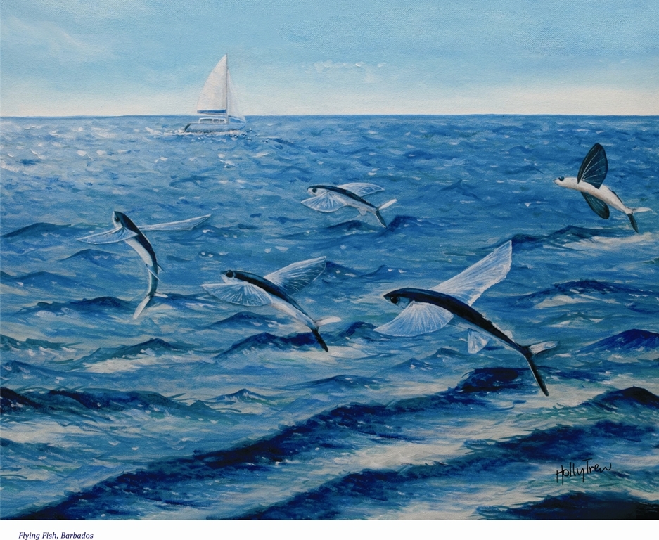 Copy_of_Flying_Fish_Print__01587.1405453344.1280.1280.jpg