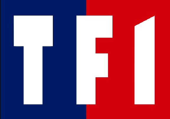 tf1-576x405.png