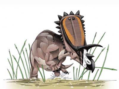 Anchiceratops.jpg