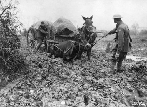 Famous-Canadian-War-Horses-1914-2.jpg