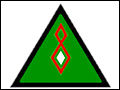 custom.iraq.army.insignia.jpg