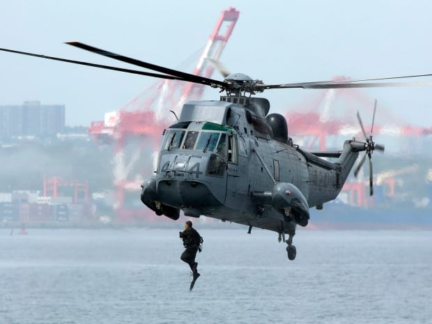 army-pathfinders-july-30-2013-sea-king.jpg