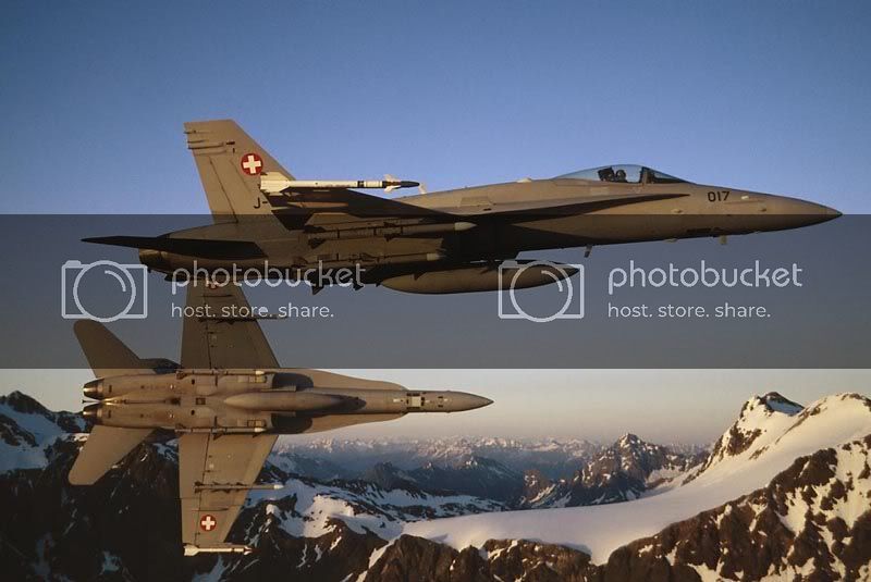 AIR_F-18Cs_Swiss_lg.jpg