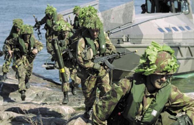 finnish-coastal-jaegers.jpg