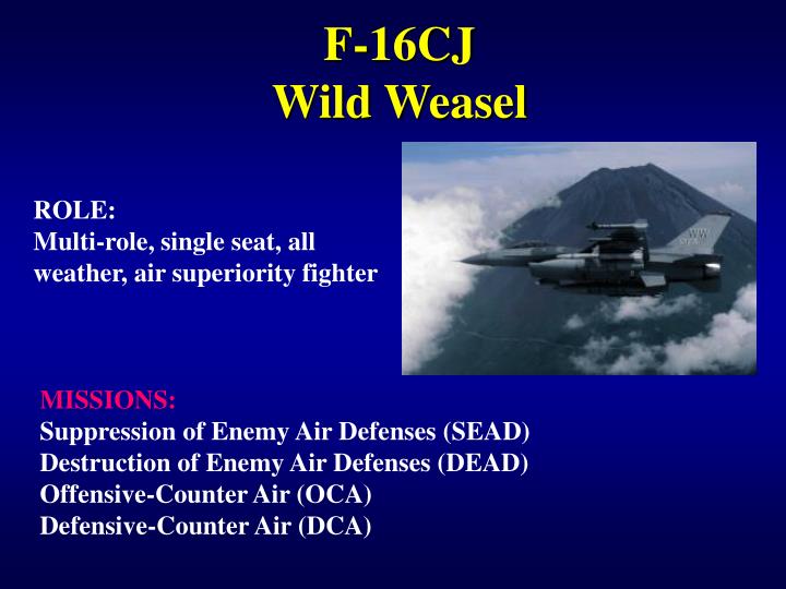 f-16cj-wild-weasel-n.jpg