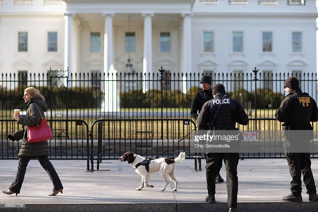 secret-service-k9-team-works-along-the-second-temporary-fence-on-the-picture-id466697706