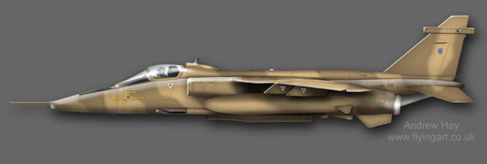 JAGUAR%20GR.1%20OMAN%20AIR%20FORCE%20copy%20CAG.jpg