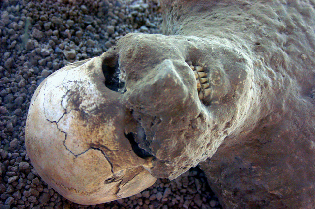 img_3650_pompeii_skull_enhanced.jpg