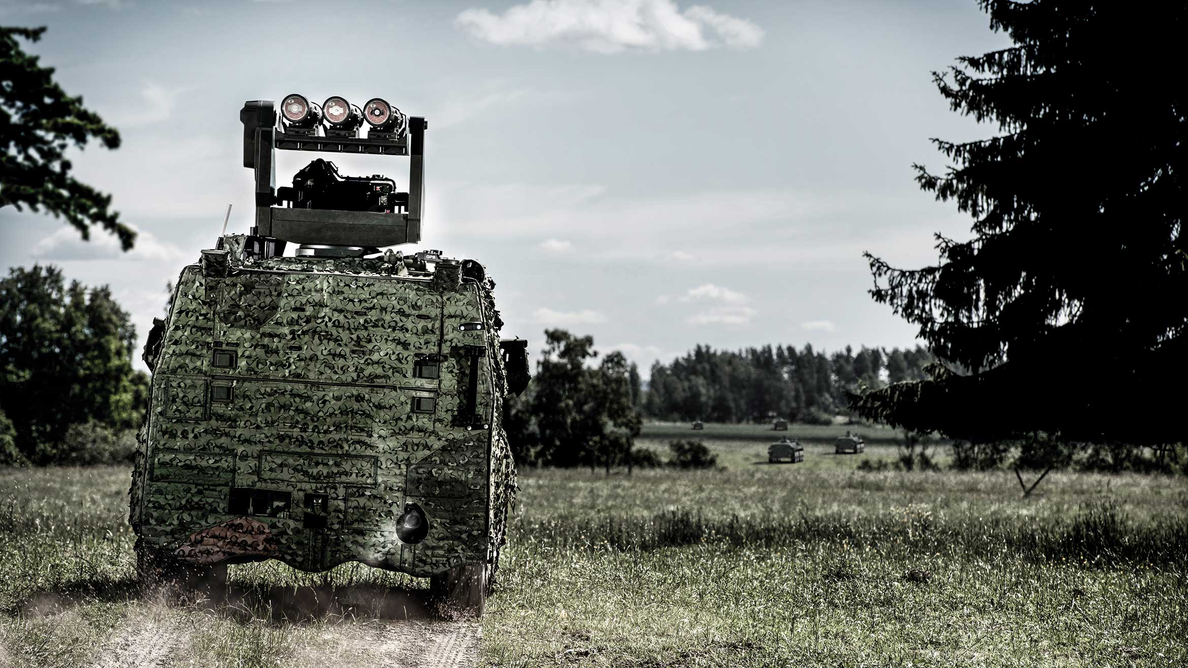 iveco_rws_woodland.jpg