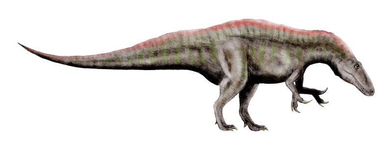 Acrocanthosaurus_BW.jpg