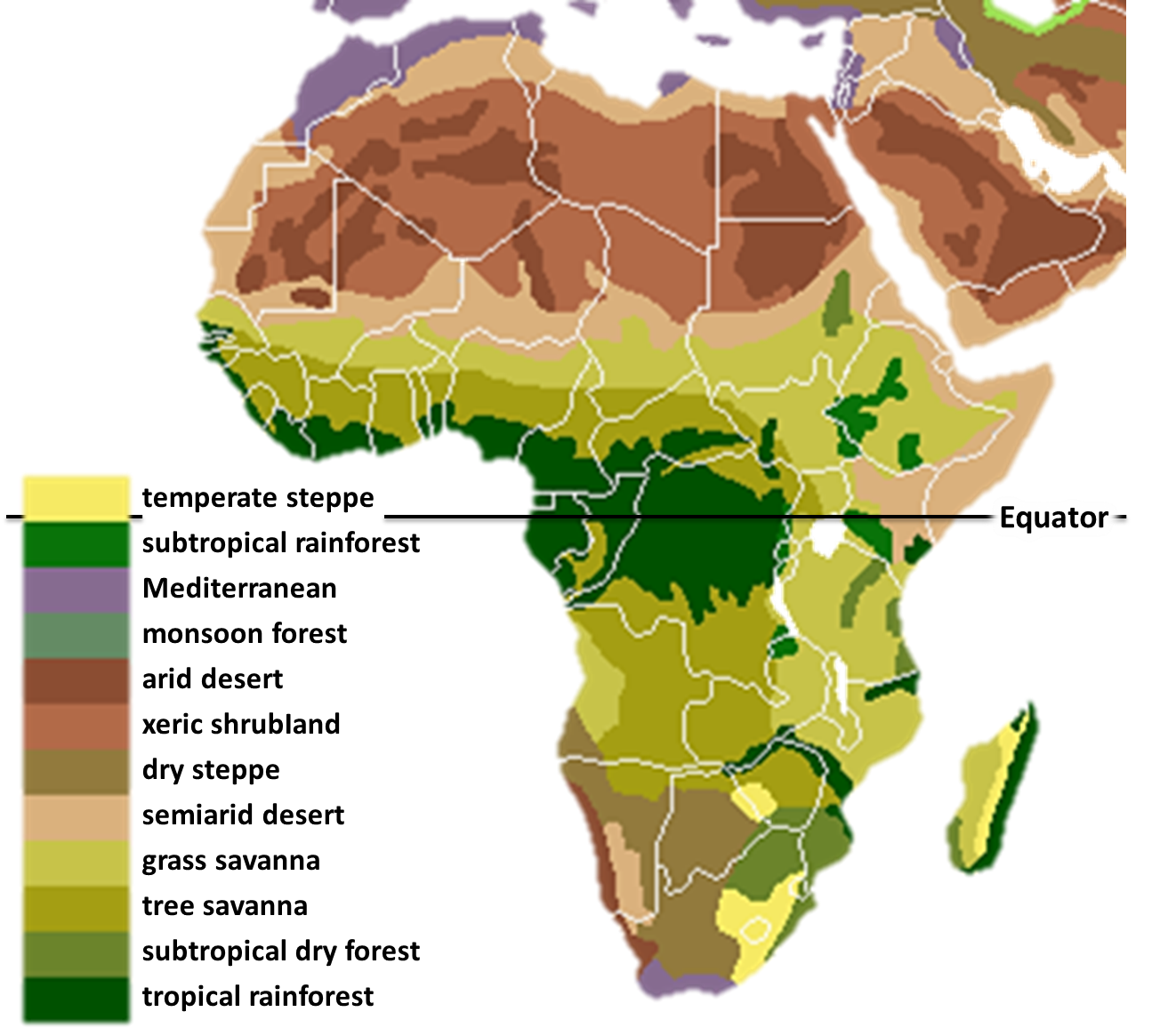 Vegetation_Africa.png