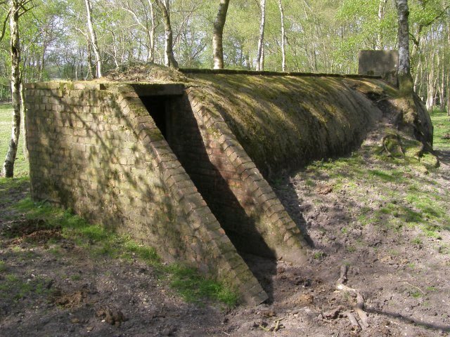 Disused_air-raid_shelter%2C_Dilton%2C_New_Forest_-_geograph.org.uk_-_430429.jpg