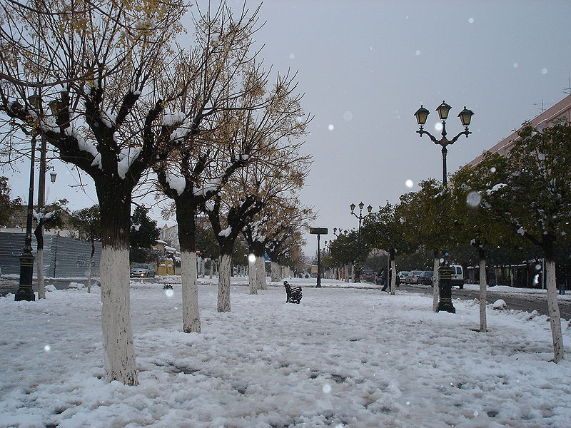 800px-Les_all%C3%A9es_Ben_Boulaid_%C3%A0_Batna.jpg