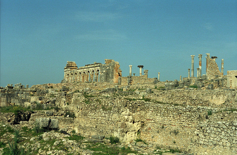 800px-Volubilis-general_view.jpg