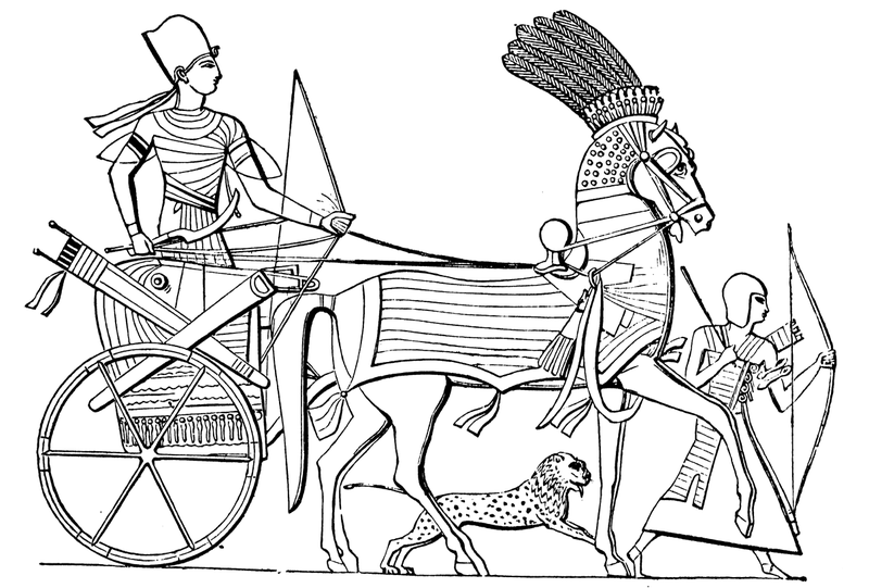 800px-Egyptian-Chariot.png