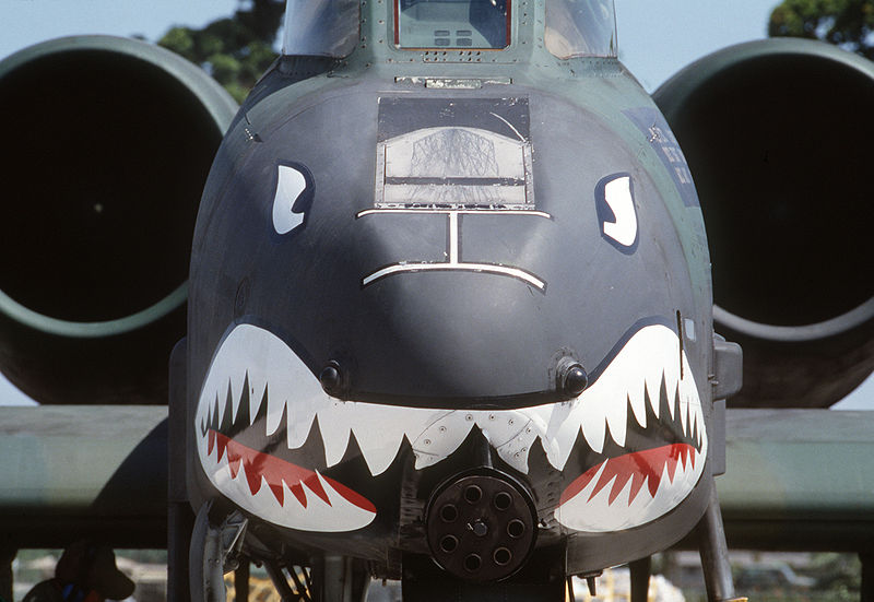 800px-A-10_Thunderbolt_II_Shark_Face.JPEG