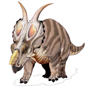300px-Achelousaurus_dinosaur.png