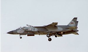 300px-Yakovlev_Yak-141_at_1992_Farnborough_Airshow_%282%29.jpg