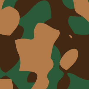 300px-Camouflage.svg.png