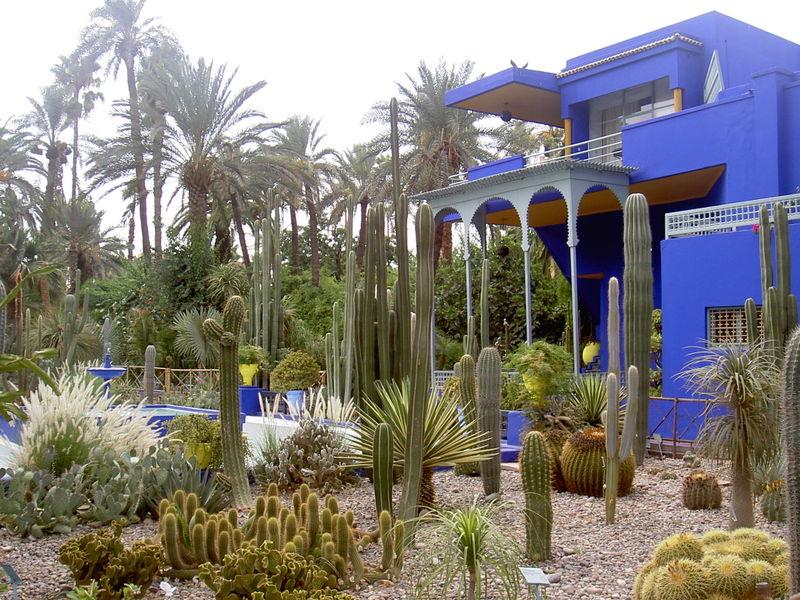 800px-Jardin_Majorelle.jpg