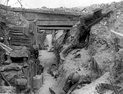 250px-Cheshire_Regiment_trench_Somme_1916.jpg