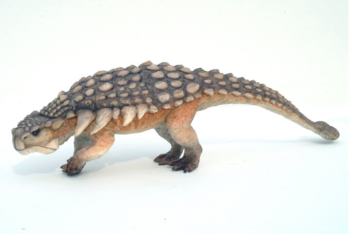 Ankylosaurus043.jpg
