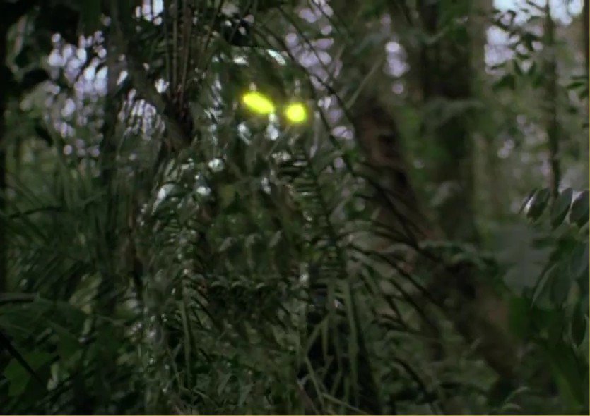 Alien_Predator_Adaptive_Camouflage_Cloaking_Technology_2_Cropped.jpg