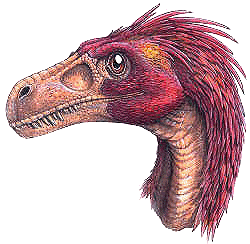 dromaeosaurus_albertensis-small.gif