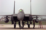 F-15E_thumb.jpg