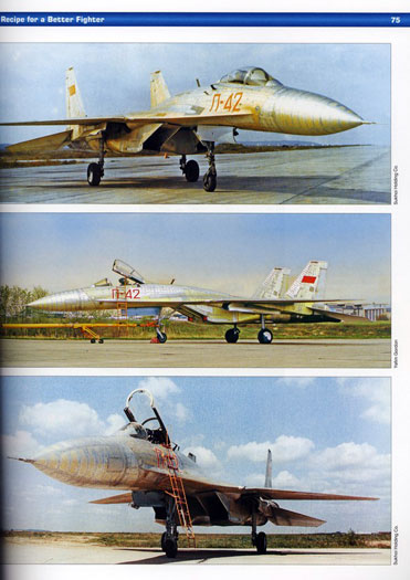 SU-27_FRA_Page1.jpg