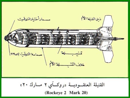 fig2100.jpg