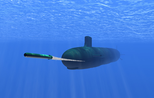 Lockheed_Martin_Torpedo_MK48-CBASS.jpg