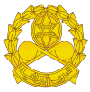 egypt-army-branchinsignia_04.gif