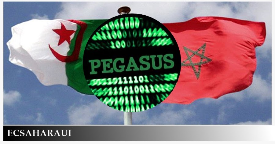 www.ecsaharaui.com