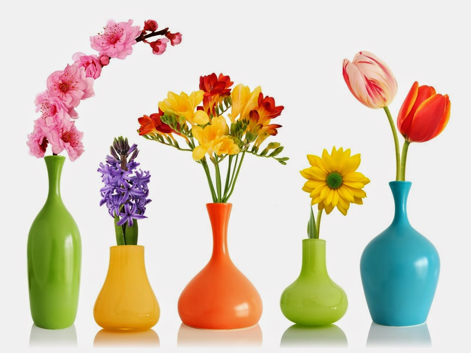 إختيار مزهرية مناسبة إختيار مزهرية مناسبة