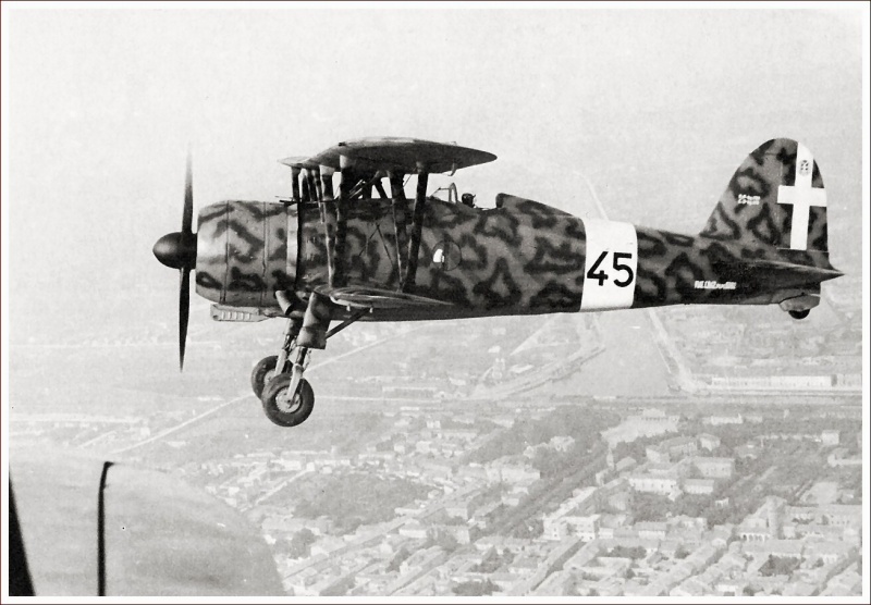 italian-fiat-cr-42as-falco-circa-1942.jpg